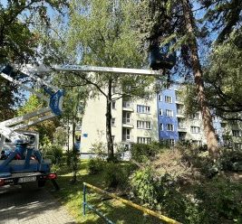Prace pielęgnacyjne na drzewach oraz konserwacyjne na budynkach mieszkalnych przy użyciu zwyżki