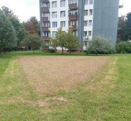 Łąki kwietne przygotowane na przyszły sezon