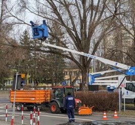Pracownicy Działu Terenów Zielonych LSM podczas pracy