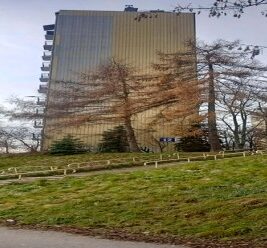 Ściana szczytowa budynku – Pana Balcera 12