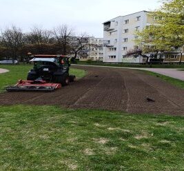 Sianie łąki kwietnej przy Placu Zabaw